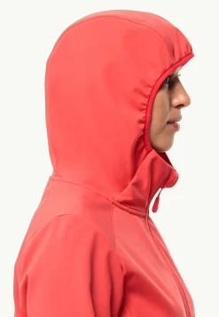 Online Bornberg Hoody W Damen Windjacken|Übergangsjacken