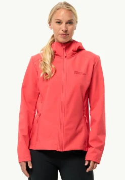 Online Bornberg Hoody W Damen Windjacken|Übergangsjacken
